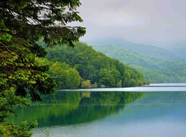 Lago bellissimo