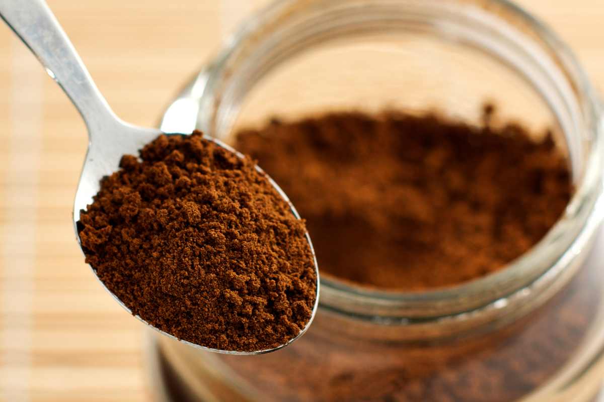 polvere caffè sempre fresca trucco elastico